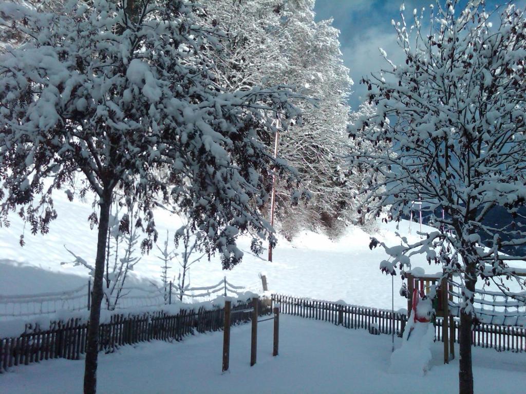 Ferienhaus Waldsicht Флахау Екстериор снимка