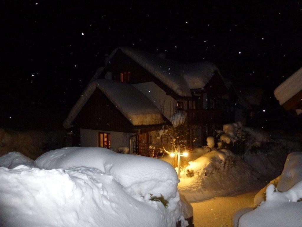 Ferienhaus Waldsicht Флахау Екстериор снимка